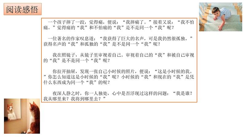 3.1 认识自己  课件06