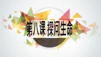 初中政治思品人教部编版七年级上册（道德与法治）第四单元  生命的思考第八课 探问生命敬畏生命教课ppt课件