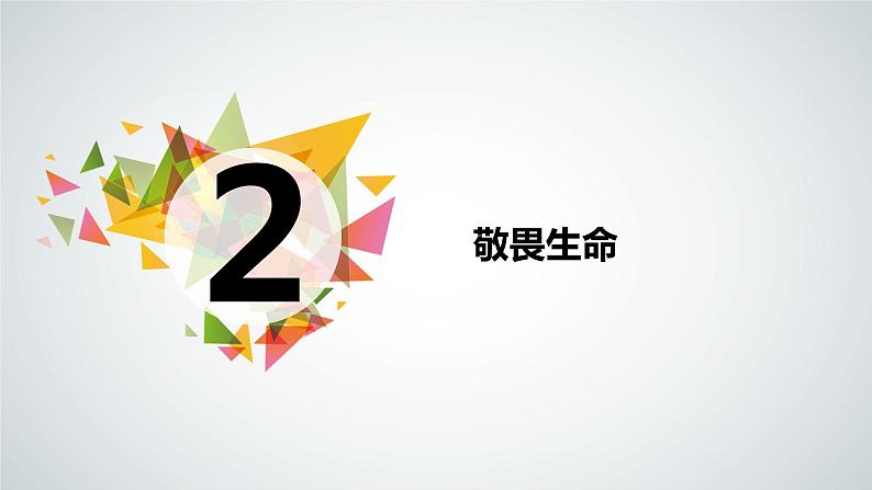 8.2  敬畏生命 课件02