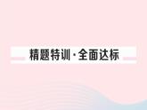 （通用版）2020春九年级道德与法治下册第二单元世界舞台上的中国第三课与世界紧相连第1框中国担当习题课件新人教版