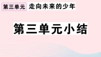 初中政治思品人教部编版九年级下册（道德与法治）第三单元 走向未来的少年综合与测试习题课件ppt