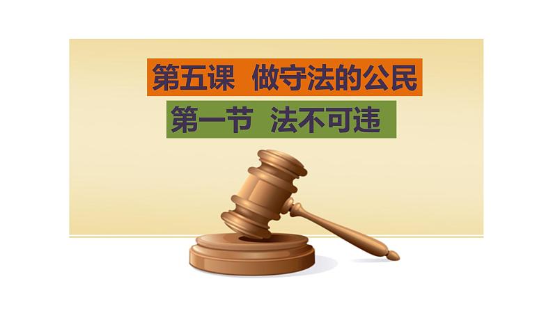 人教版道德与法治八年级上册 5.1 法不可违 课件(共42张PPT)04