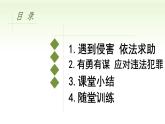 5.3 善用法律 PPT课件