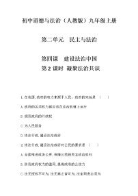 初中政治思品人教部编版九年级上册（道德与法治）凝聚法治共识精品复习练习题