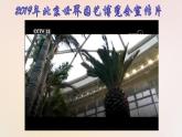 人教版《道德与法治》九年级上册6.2共筑生命家园课件共（29张ppt）
