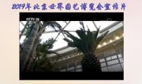 初中人教部编版共筑生命家园一等奖课件ppt