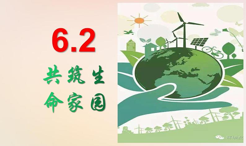 人教版《道德与法治》九年级上册6.2共筑生命家园课件共（29张ppt）03