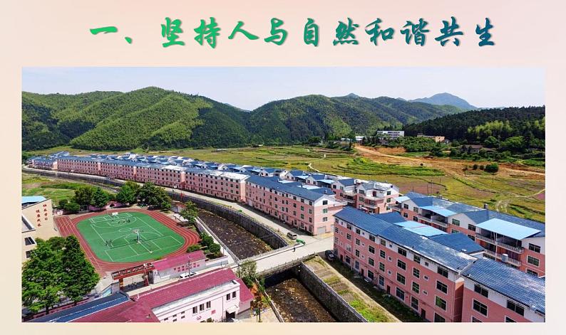 人教版《道德与法治》九年级上册6.2共筑生命家园课件共（29张ppt）04