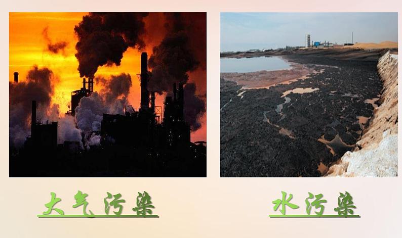 人教版《道德与法治》九年级上册6.2共筑生命家园课件共（29张ppt）05