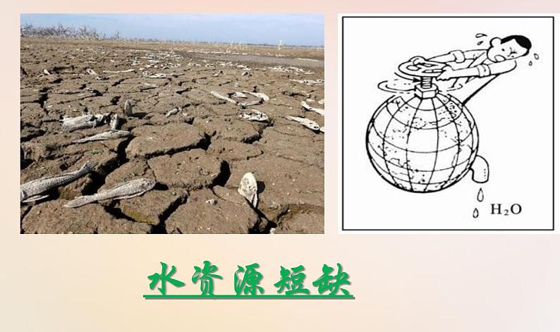 人教版《道德与法治》九年级上册6.2共筑生命家园课件共（29张ppt）07