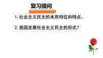 人教部编版九年级上册（道德与法治）参与民主生活示范课ppt课件