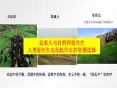 6.2 共筑生命家园 课件-部编版道德与法治九年级上册（共16张PPT）