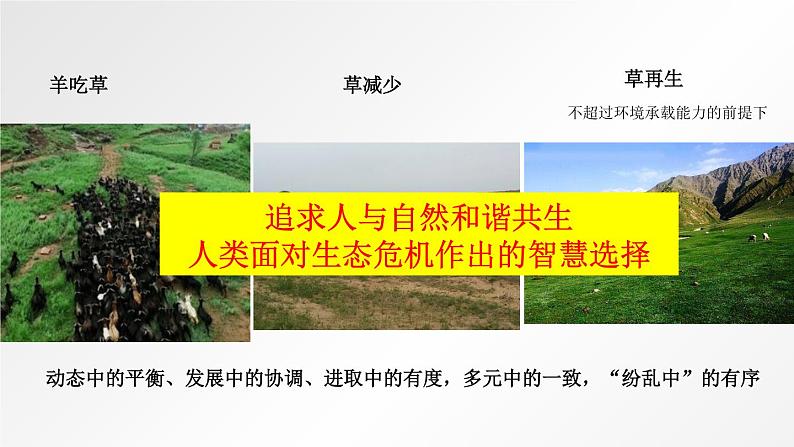 6.2 共筑生命家园 课件-部编版道德与法治九年级上册（共16张PPT）04