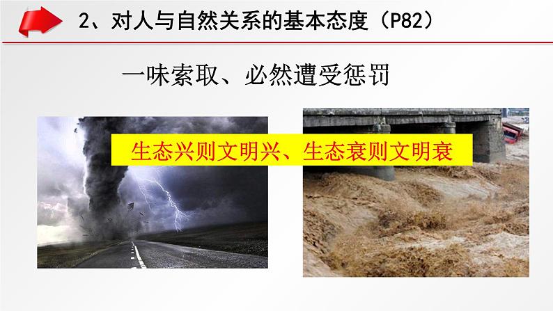 6.2 共筑生命家园 课件-部编版道德与法治九年级上册（共16张PPT）07