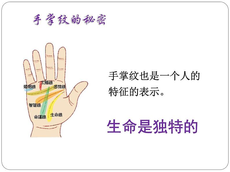 道德与法治七年级上册第八课 8.1 生命可以永恒吗 课件第6页