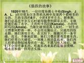 人教部编版道德与法治八年级上册第一课 丰富的社会生活 课件