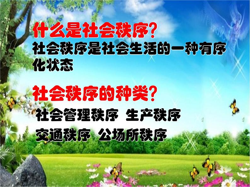 人教部编版道德与法治八年级上册第三课 社会生活离不开规则 课件第6页