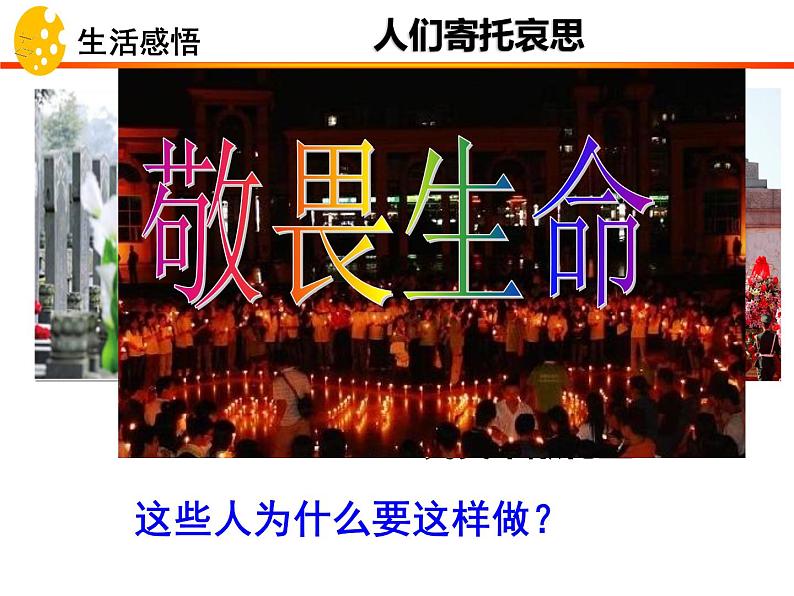 8.2 敬畏生命 课件-部编版道德与法治七年级上册（共21张PPT）第2页