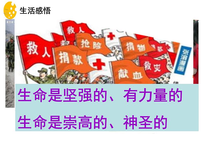 8.2 敬畏生命 课件-部编版道德与法治七年级上册（共21张PPT）第8页