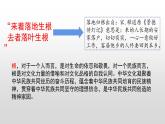 部编版道德与法治九年级上册 5.1 延续文化血脉（29张PPT）课件