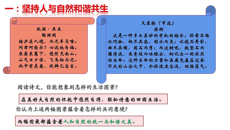 人教版道德与法治九年级上册 6.2 共筑生命家园 （36张PPT）课件03