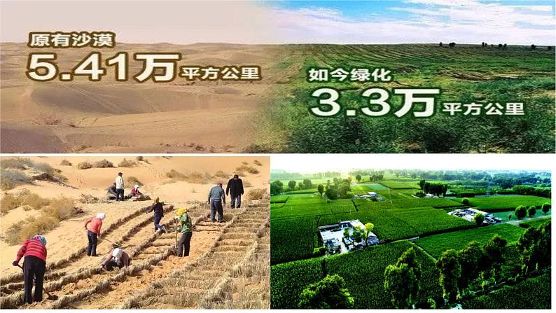 人教版道德与法治九年级上册 6.2 共筑生命家园 （36张PPT）课件05