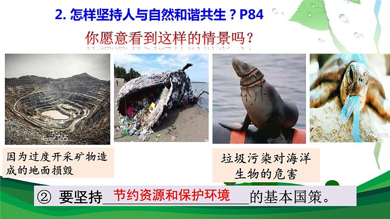 6.2 共筑生命家园第7页