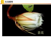 10.1 感受生命的意义 课件-部编版道德与法治七年级上册（共30张PPT）