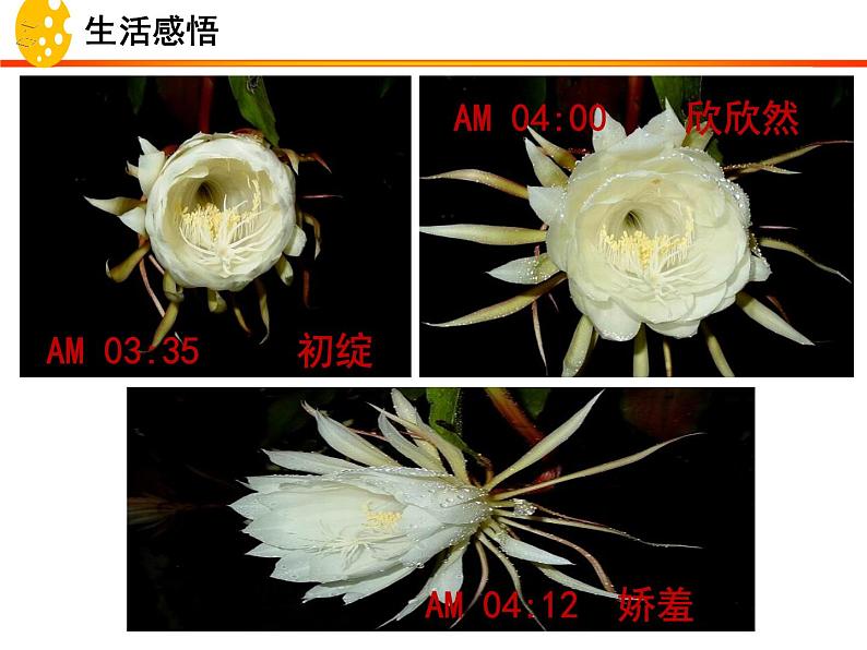 10.1 感受生命的意义 课件-部编版道德与法治七年级上册（共30张PPT）02