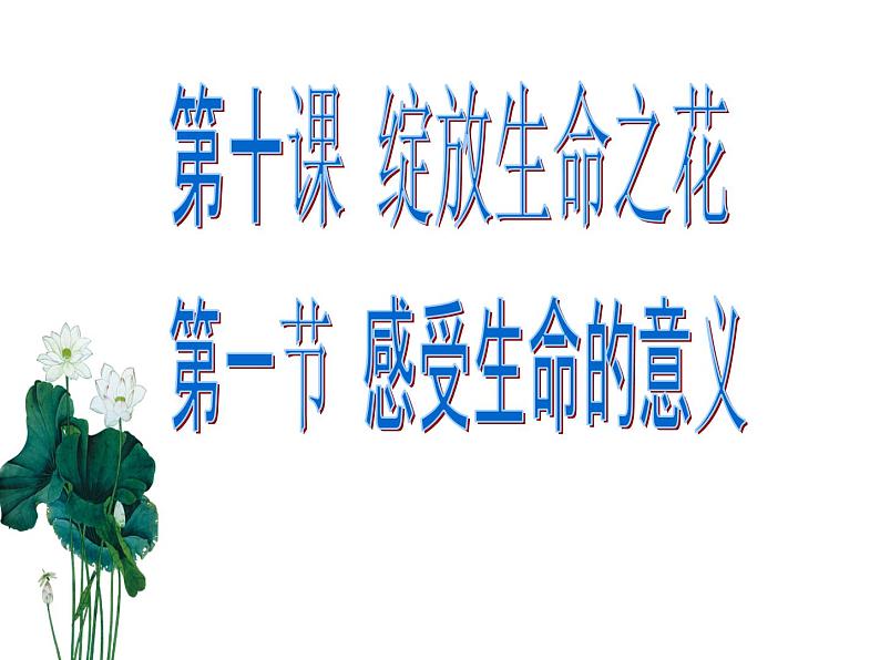 10.1 感受生命的意义 课件-部编版道德与法治七年级上册（共30张PPT）06