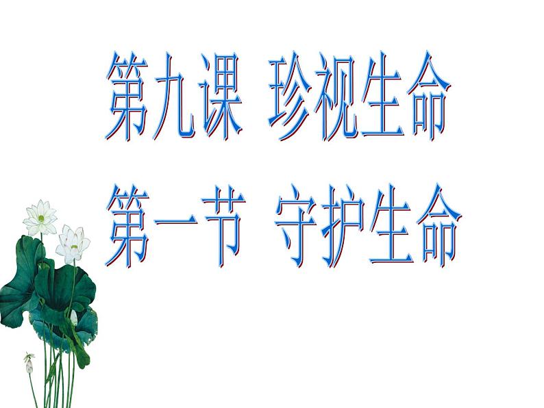 9.1 守护生命 课件-部编版道德与法治七年级上册（共29张PPT）第2页