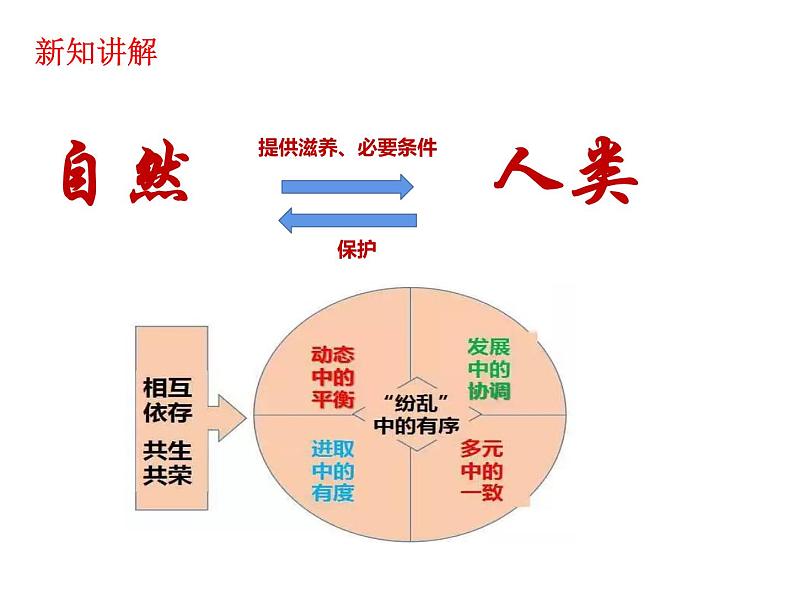 人教版道德与法治九年级上册 6.2 共筑生命家园 课件(共26张PPT)06