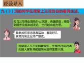 人教版九上道德与法治1.2《 走向共同富裕》 （共31张PPT）课件