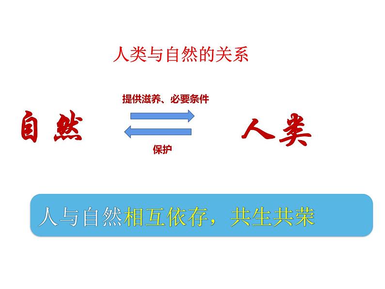 人教部编版道德与法治九年级上册：6.2《共筑生命家园》（共27张PPT）课件06