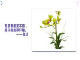 8.1 国家好 大家才会好-部编版道德与法治八年级上册 （共24张PPT）课件
