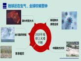 人教版道德与法治九年级上册 6.2 共筑生命家园 课件