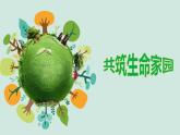 人教版道德与法治九年级上册 6.2 共筑生命家园 课件