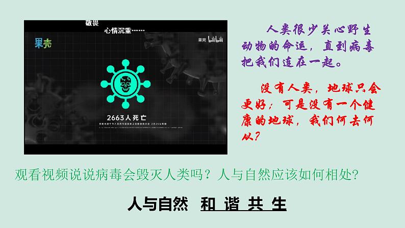 人教版道德与法治九年级上册 6.2 共筑生命家园 课件03