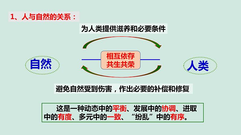 人教版道德与法治九年级上册 6.2 共筑生命家园 课件06