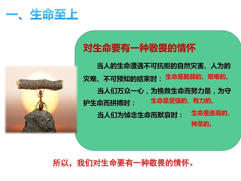 人教版道德与法治七年级上册 8.2 敬畏生命 课件第6页