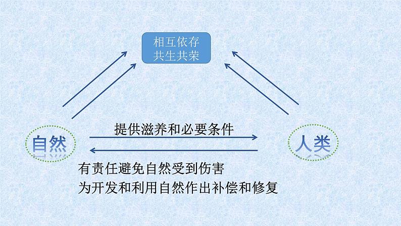 人教版道德与法治九年级上册 6.2 共筑生命家园 课件05