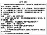 人教版九年级道德与法治下册 3.2与世界深度互动 课件