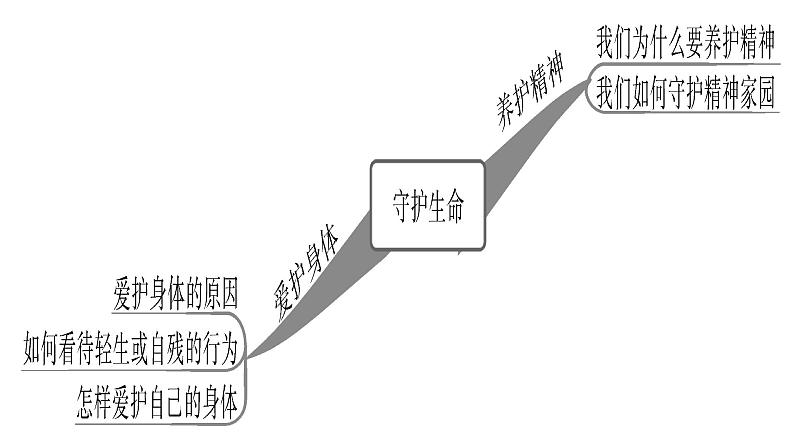 人教版道德与法治七年级上册 9.1 守护生命 课件第2页