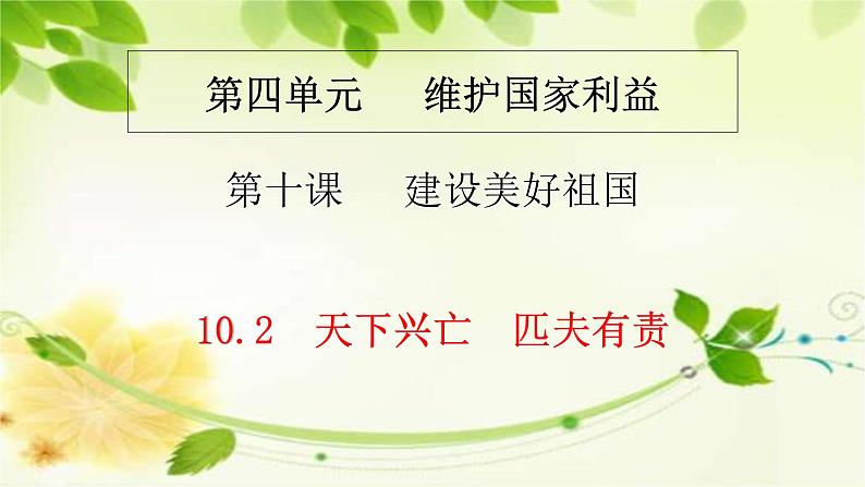人教版道德与法治八年级上册 10.2 天下兴亡 匹夫有责 课件03