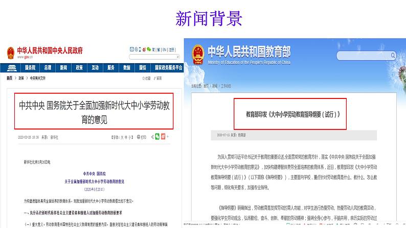 人教版道德与法治八年级上册 10.2 天下兴亡 匹夫有责 课件07