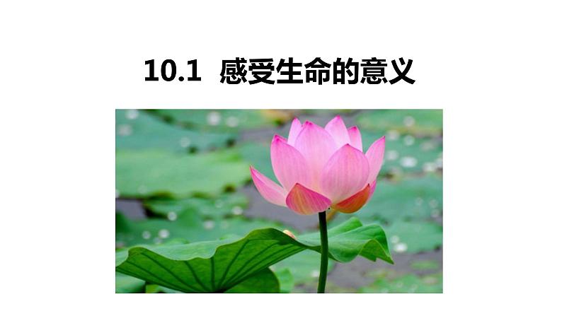 10.1第1页