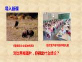 2020秋季人教版8年级上册道德与法治8.1 国家好 大家才会好 课件课件