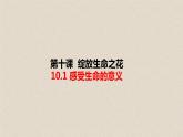 2020年秋季人教版7年级上册1部编版道德与法治10.1绽放生命之花 课件
