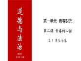 2.1 男生女生-高效备课丨七年级道德与法治下册同步课件（部编版）(共20张PPT)