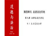 9.1 生活需要法律-高效备课丨七年级道德与法治下册同步课件（部编版）(共25张PPT)